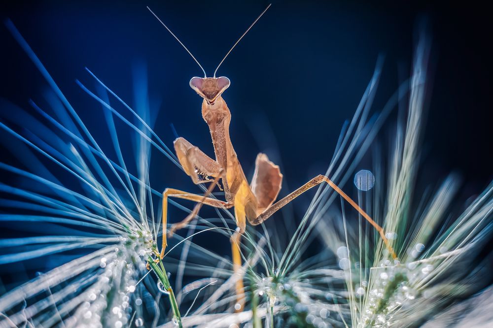 Photograph by Юлия Яремко