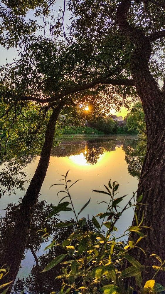 Photograph by Екатерина Романова