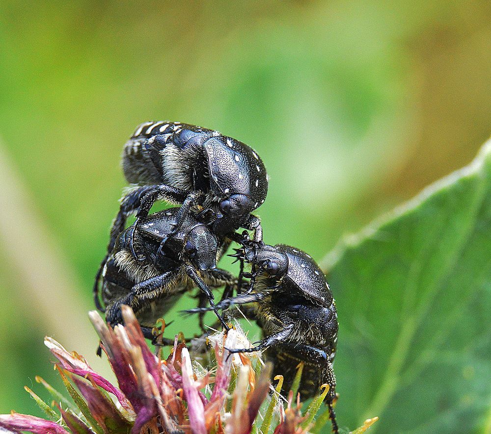 Трудный разговор.