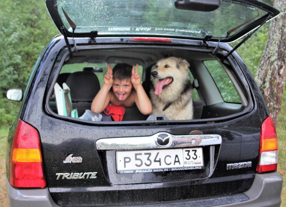 Photograph by Сергей Журавлев