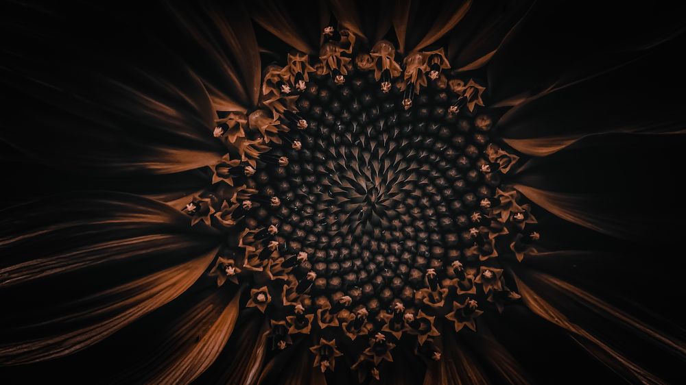 the sensations of taste are limitless