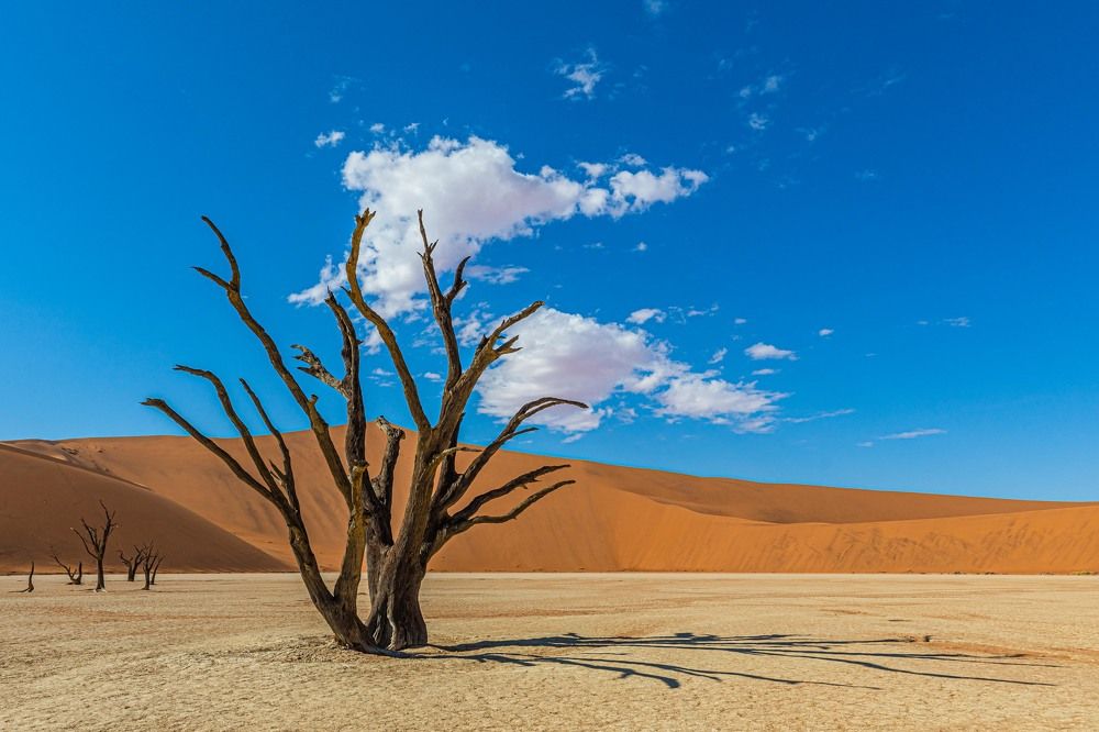 Photograph by Илья Поляк