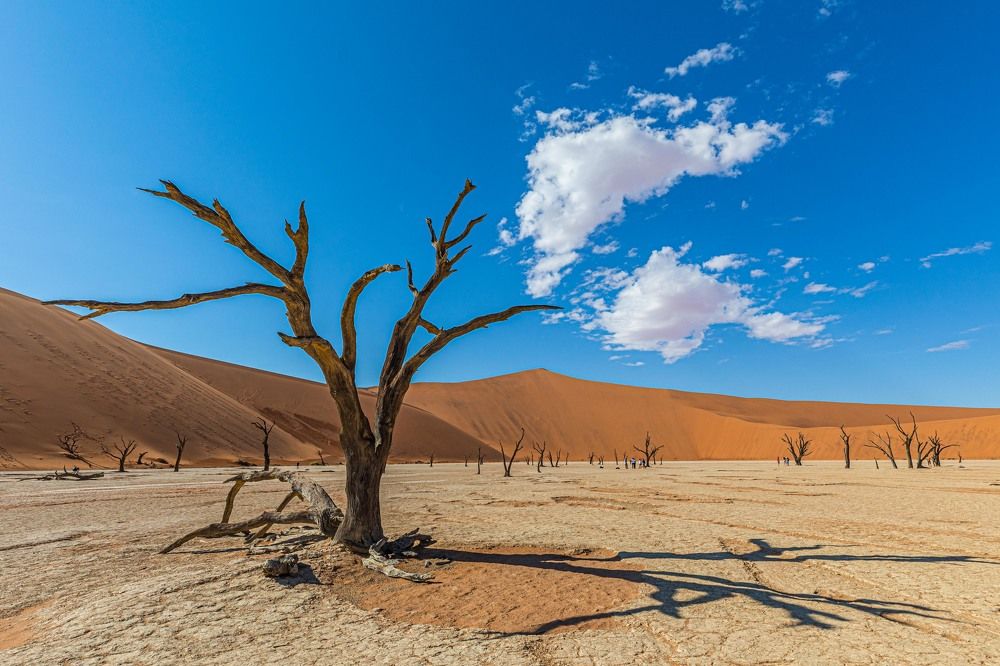 Опаленные солнцем