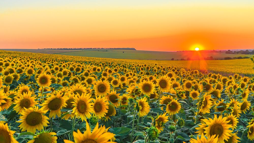 Закат солнца.