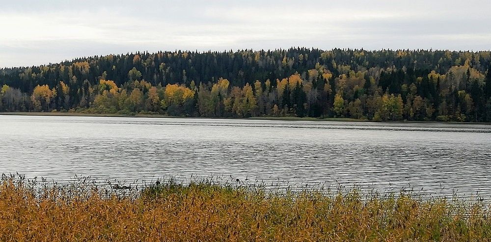 Photograph by Лариса Неудачина