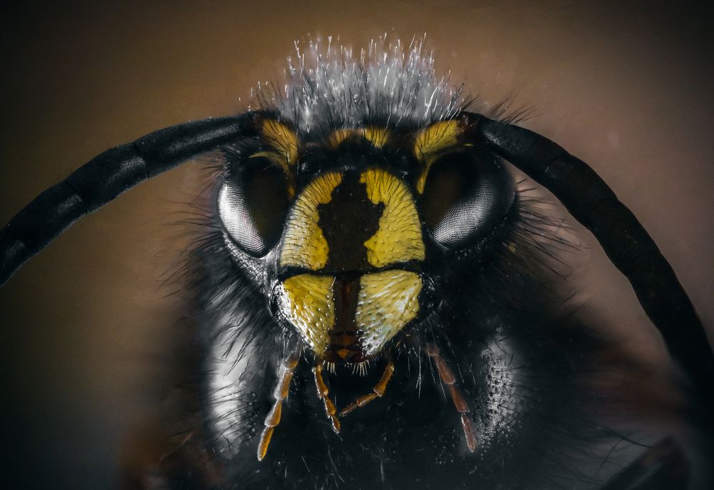 Photograph by Юлия Шматова