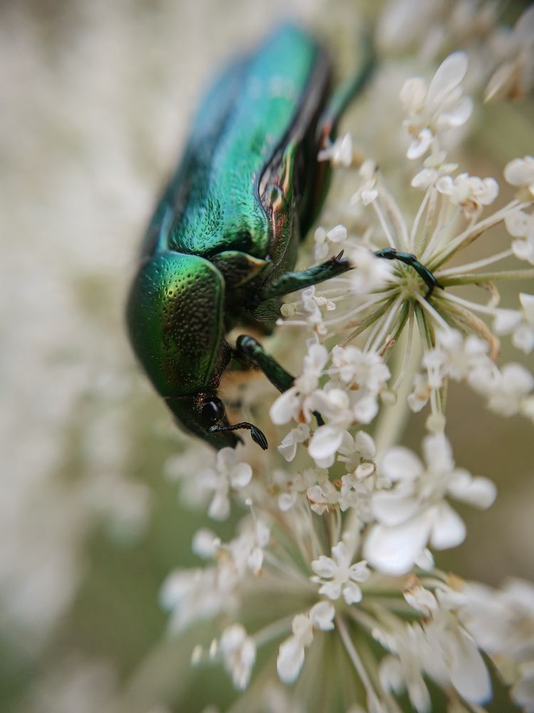 Photograph by Алексей Крукович