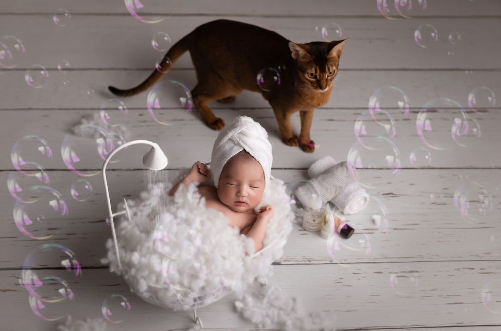 Photograph by Кристина Ашуева