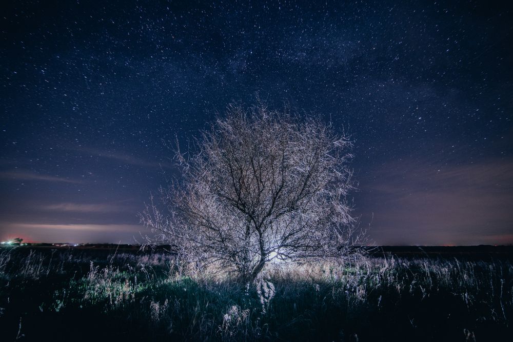 Photograph by Вадим