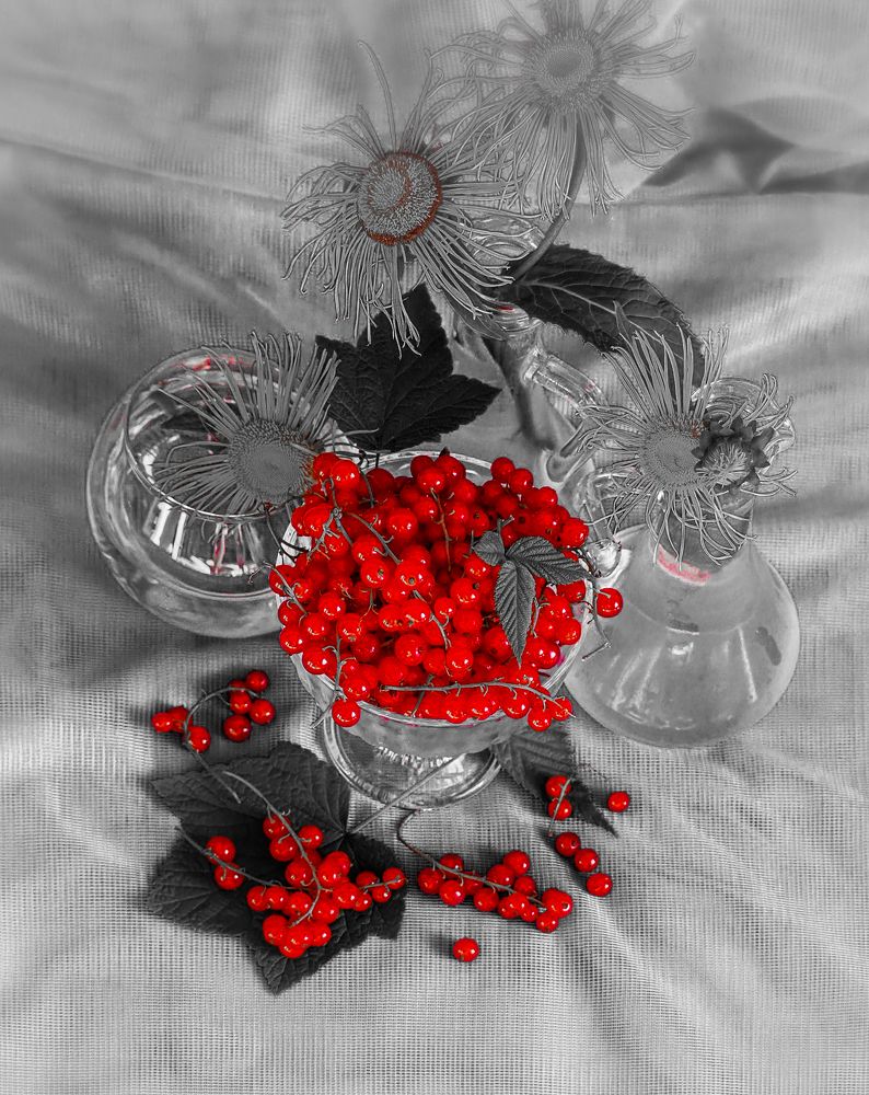 Фотография автора Olena Vorotyntseva