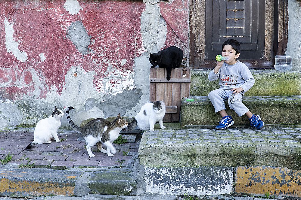 Photograph by Berin Aydin