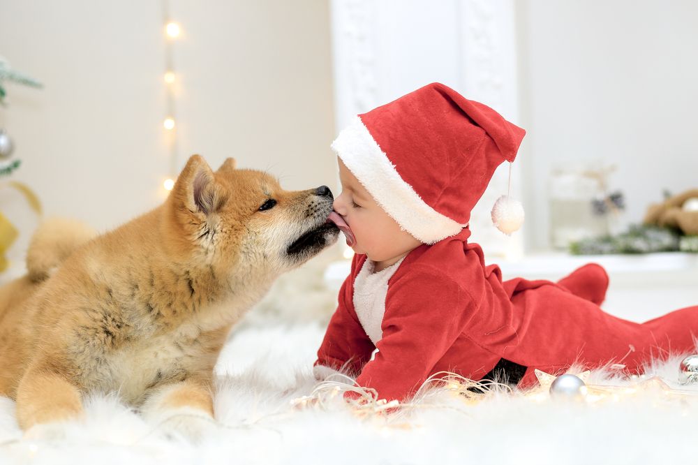 Photograph by Кристина Ашуева