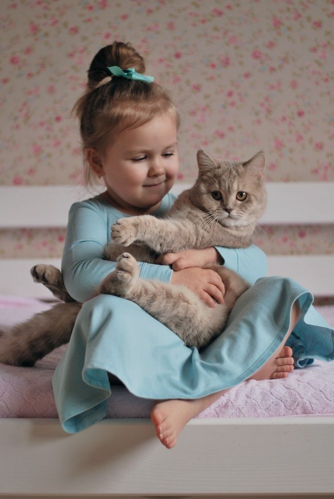 Photograph by Ольга Перевозчикова