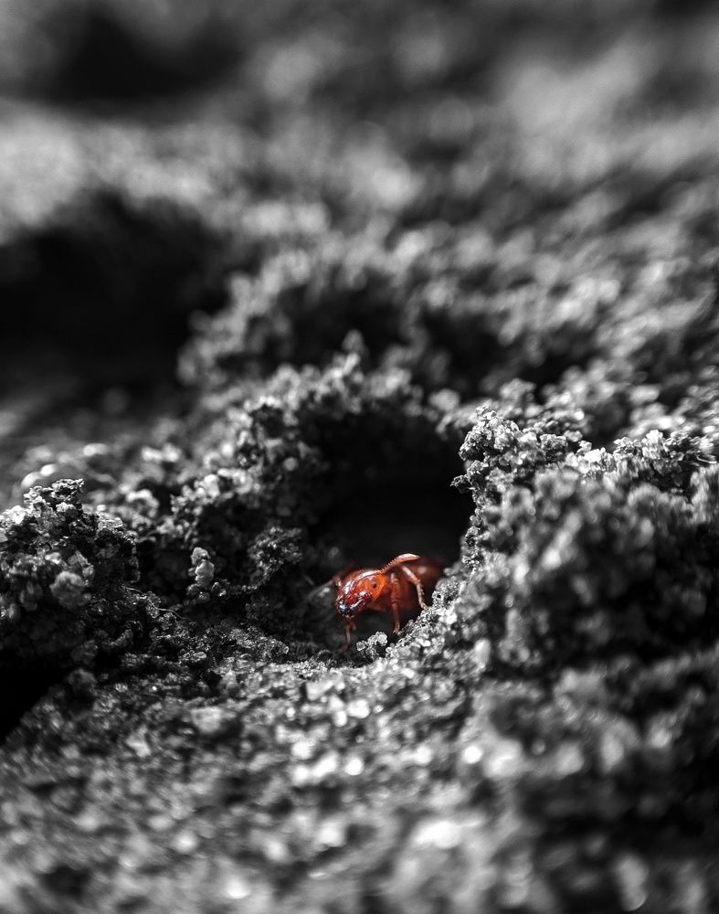 Photograph by Arif Ahmed Khan