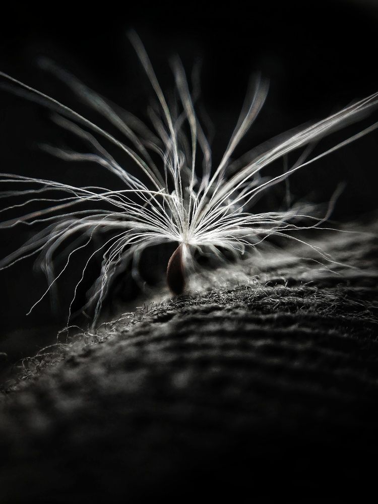 Photograph by Ольга Тимофеева