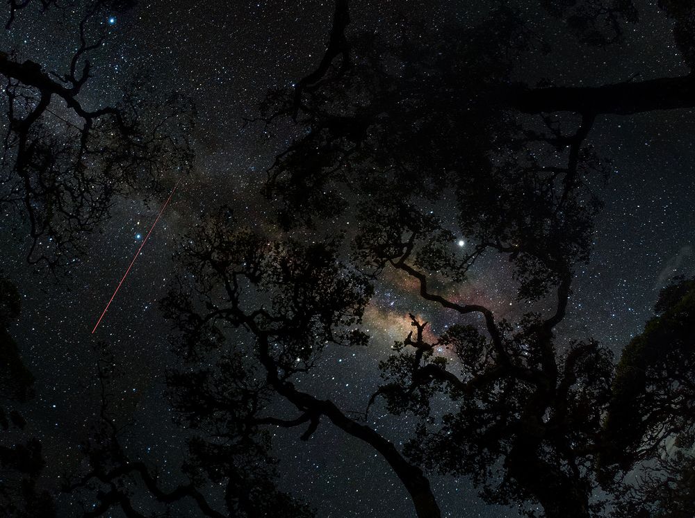 Photograph by Asela Nuwan