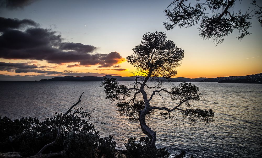 Фотография автора vanessa elbin