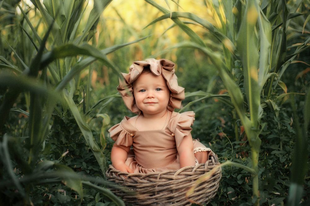 Принцесса кукурузного поля