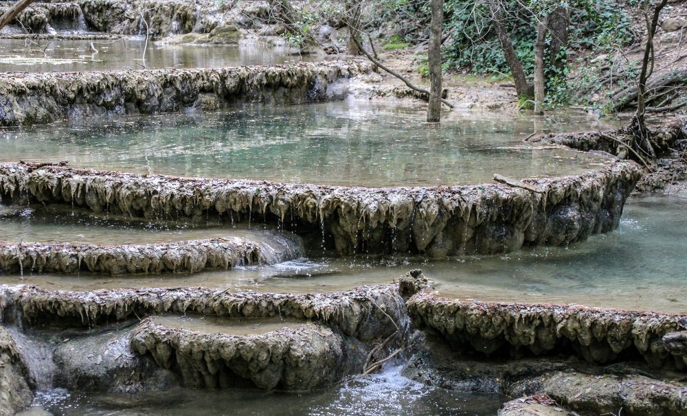 Фотография автора vanessa elbin