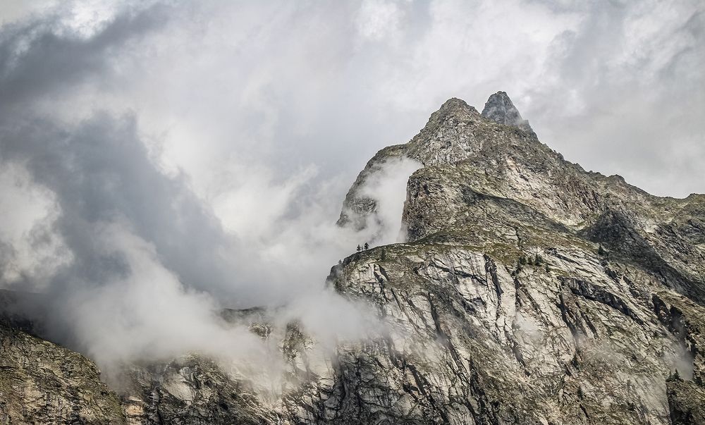 Фотография автора vanessa elbin