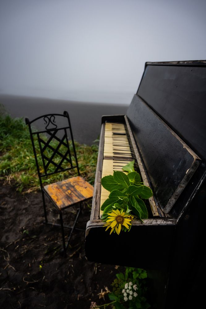 Музыка Тихого океана