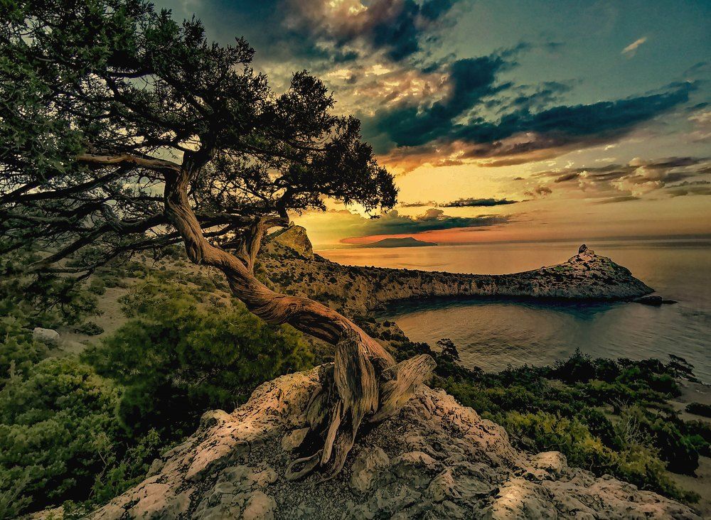 Великолепие красок и форм