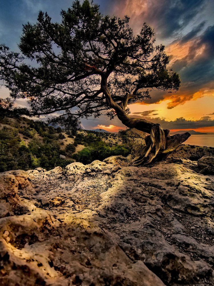 райское место