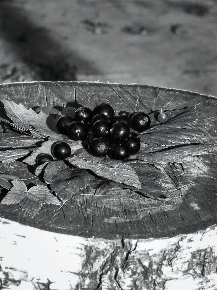 Photograph by Елизавета Комарова