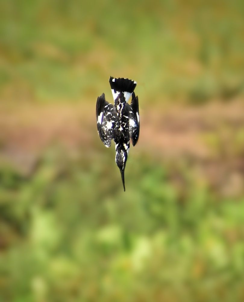 On Target