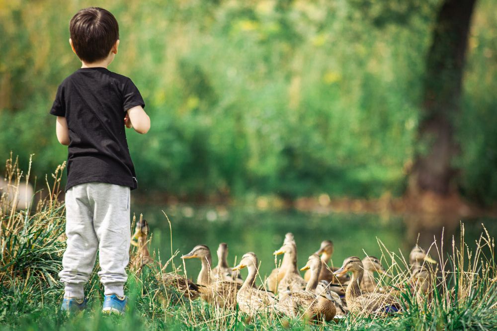 Photograph by Айгуль Горлова