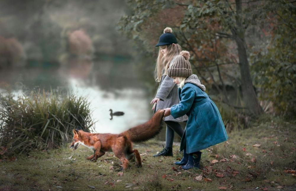 "Но тут лиса бежала, а может не бежала"
