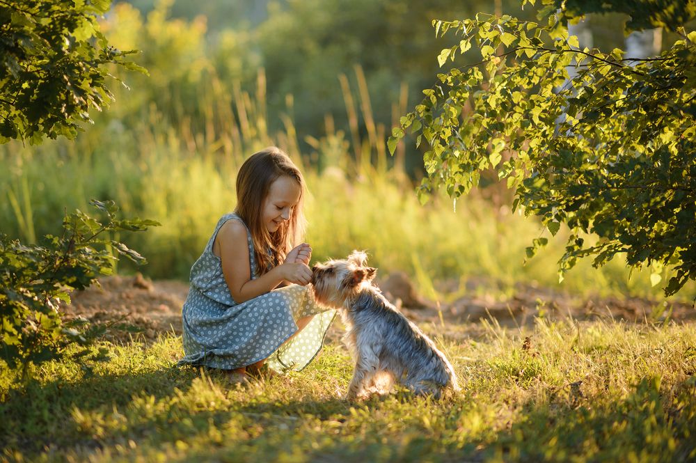 Photograph by Елена Пичугина