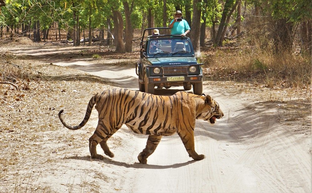 Photograph by Diya Chakraborty