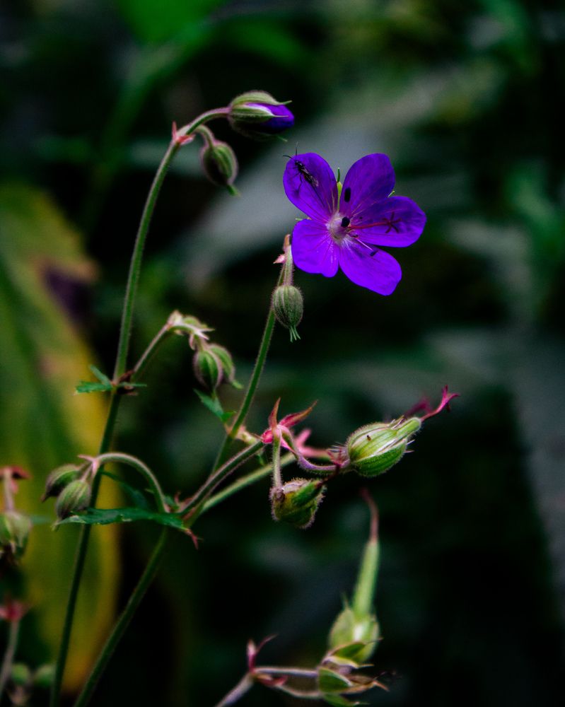 Photograph by Mikhail