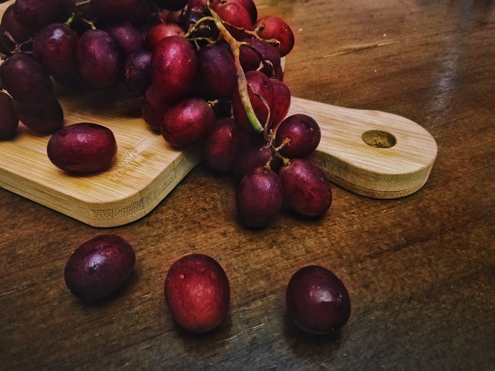 Photograph by yousef z shima