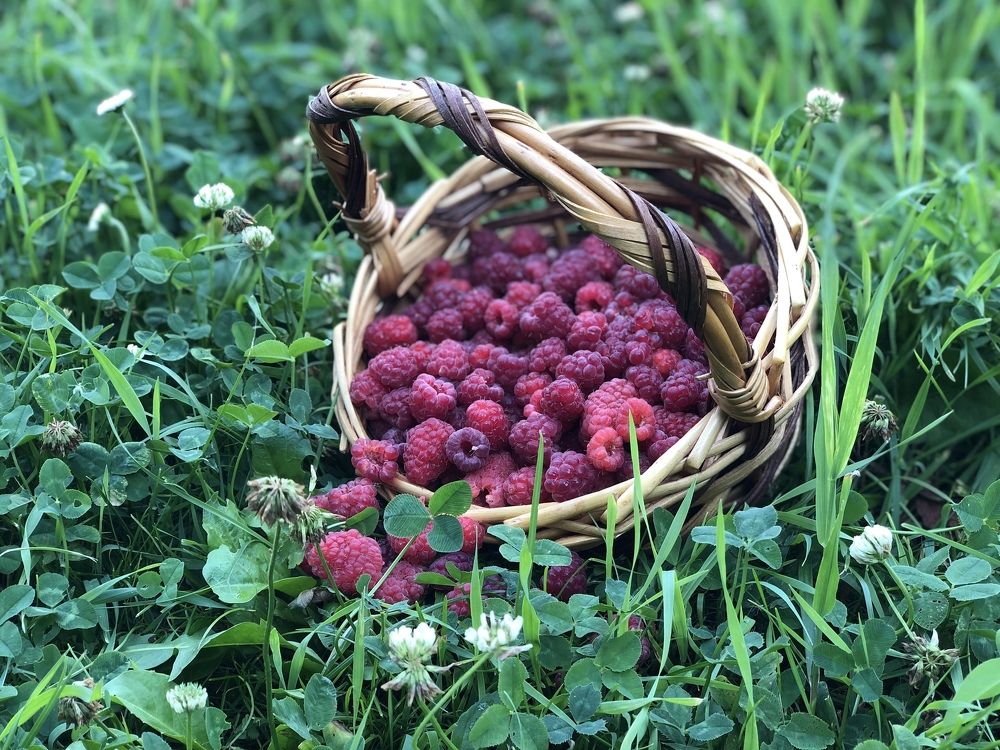 Photograph by Наталья Кочеткова