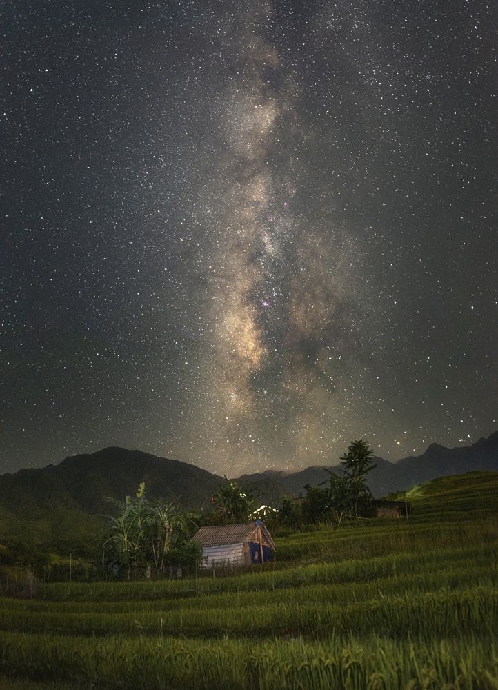 Photograph by Trieu Hung