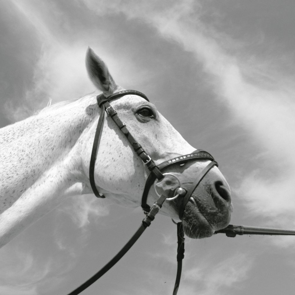 Photograph by Голод Русский