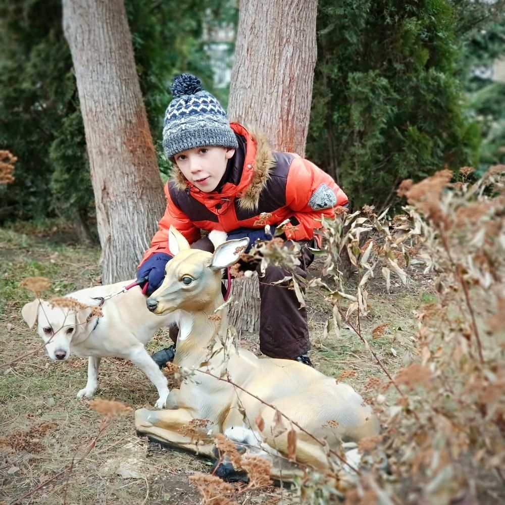 Photograph by Николай Ковальчук