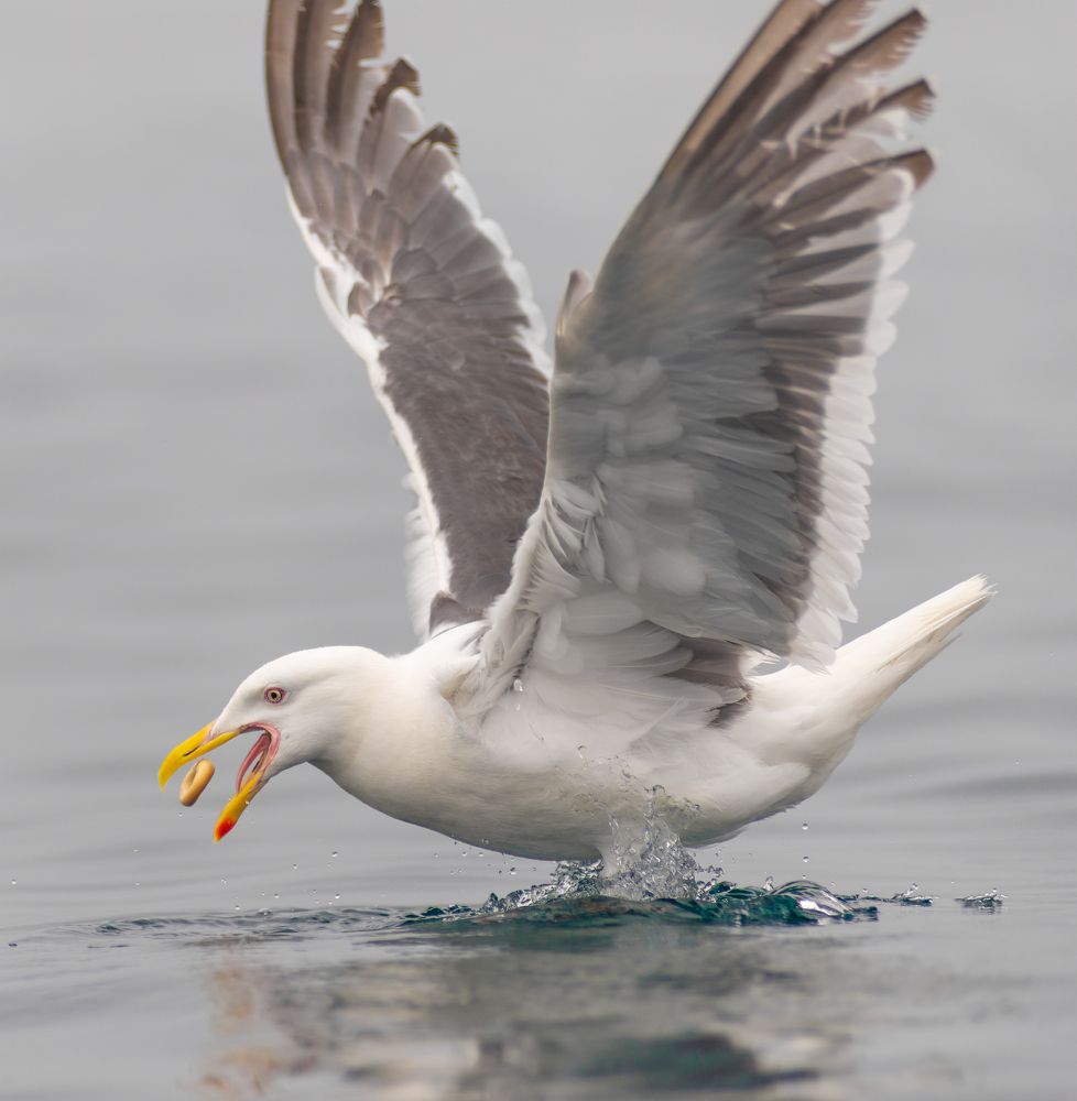 Photograph by Алексей Симонов