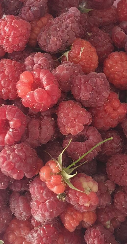 Photograph by Tatiana Denisova