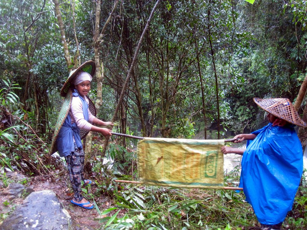 Photograph by Susmita Paul