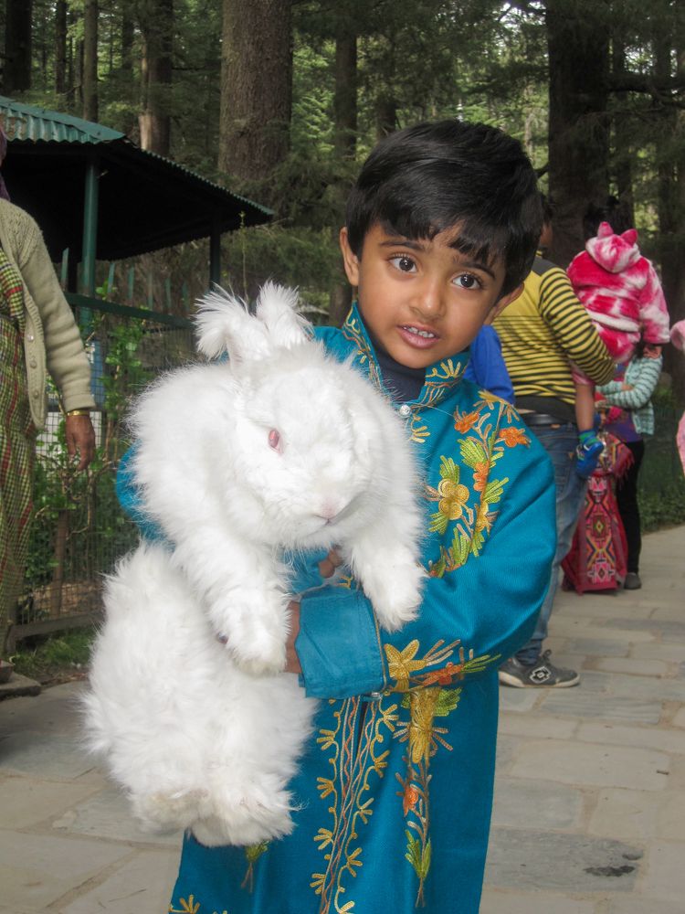 Photograph by Susmita Paul