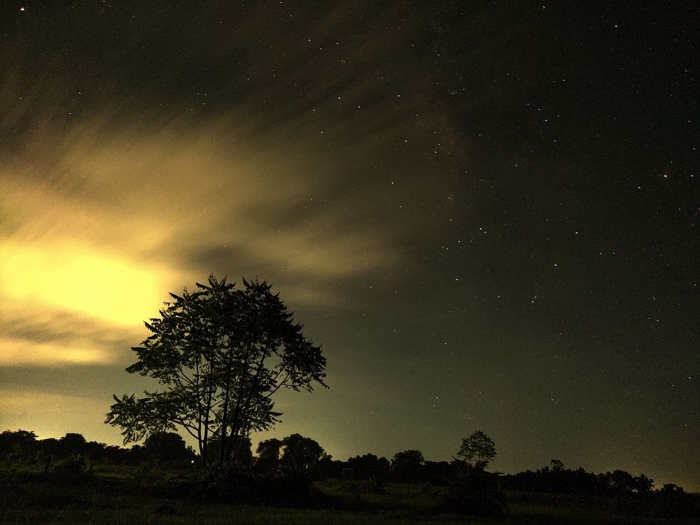 Photo #6380505