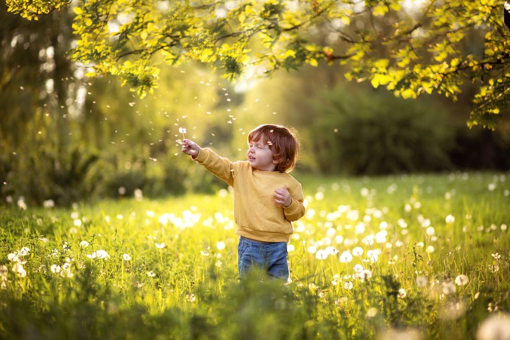 Photograph by Полина Парамонова