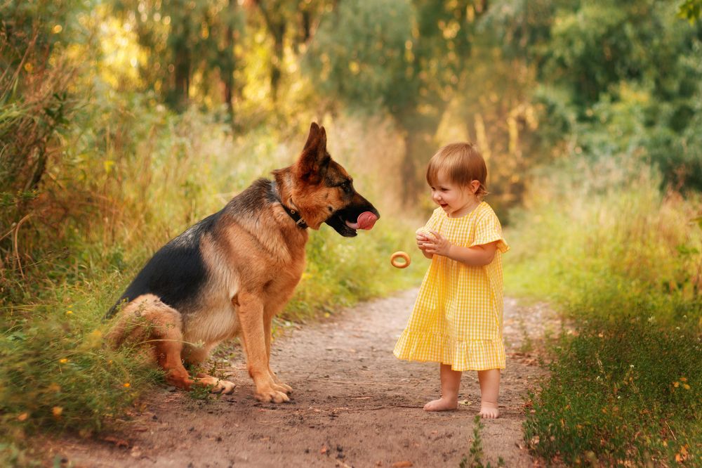 Photograph by Светлана Орешко