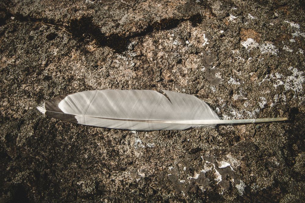 Photograph by Никита Луферов