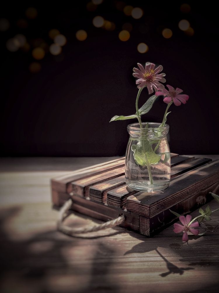 Photograph by Frida Ari Wahyuni