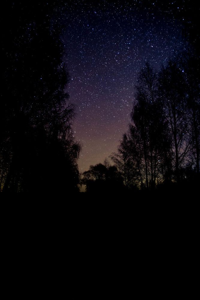 Photograph by Сергей Глобенко