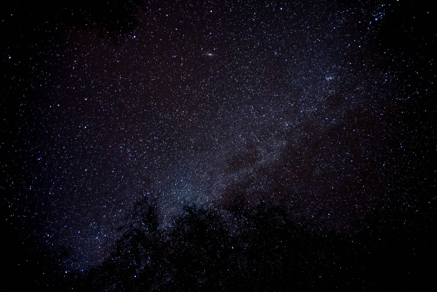 Photo #6380682